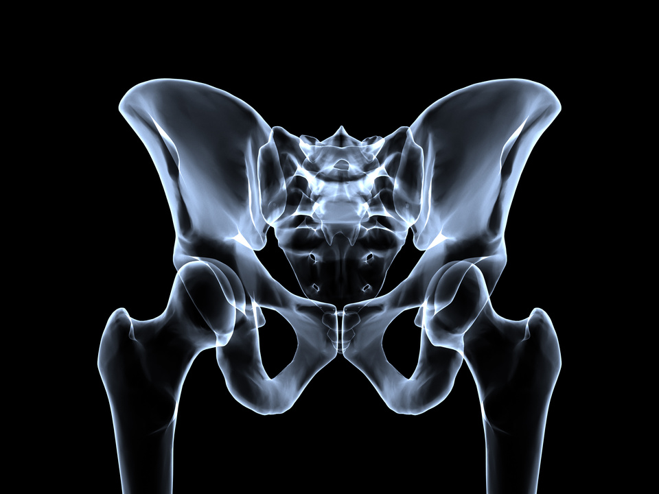 Pelvis roentgen